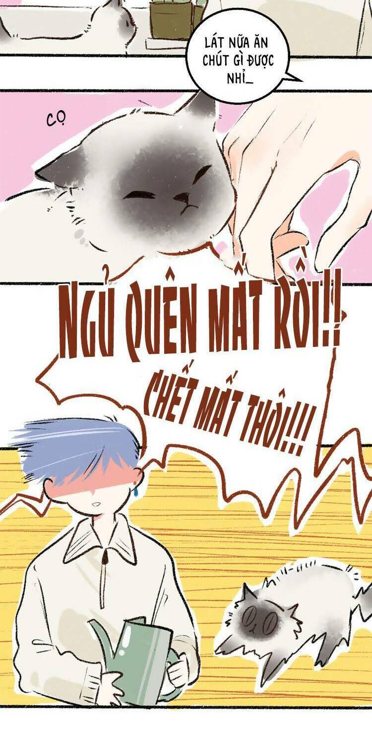 Thần Ơi, Mời Ăn Cơm! chapter 6 - Trang 29