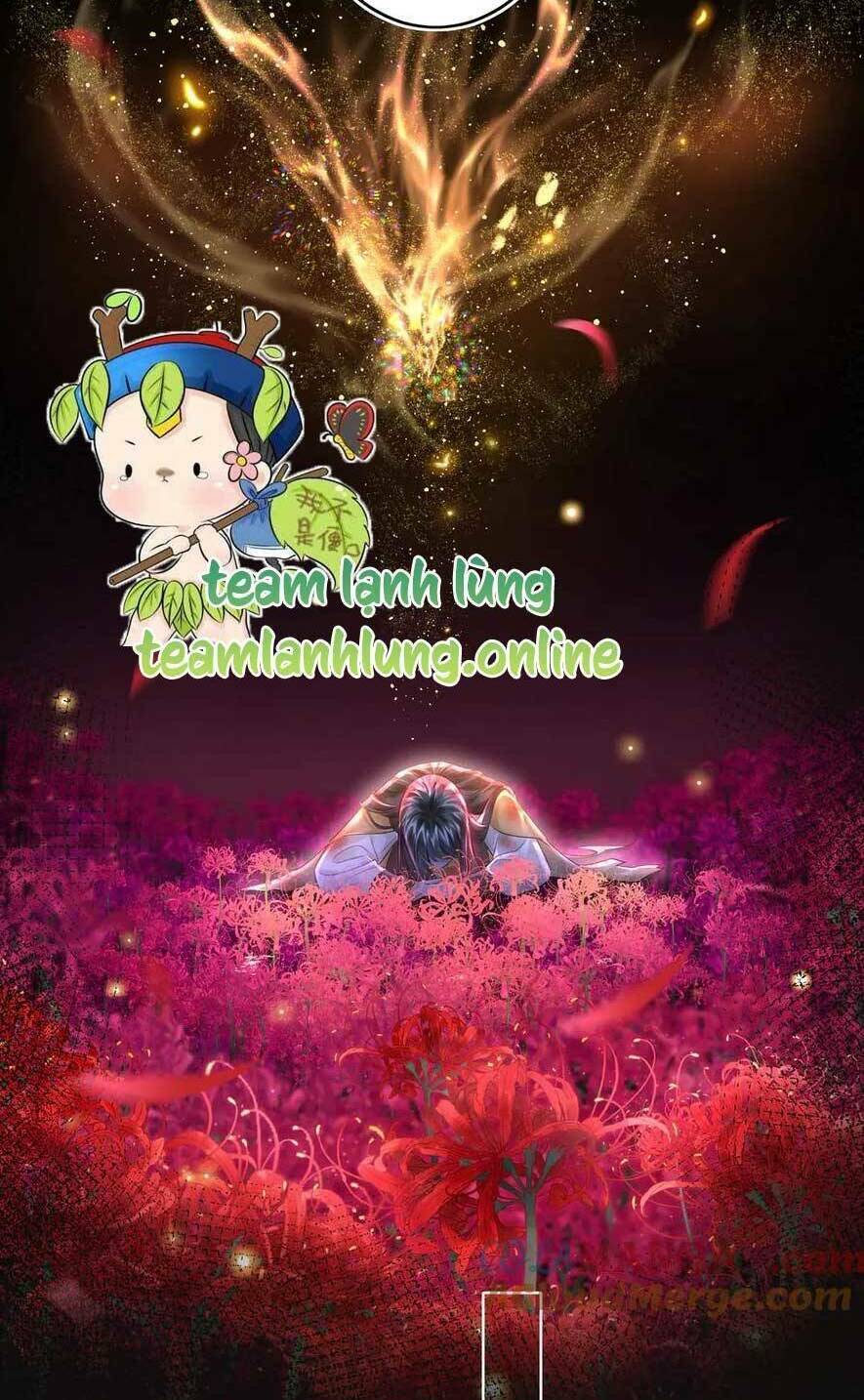Thần Y Hoàng Hậu chapter 12 - Trang 32