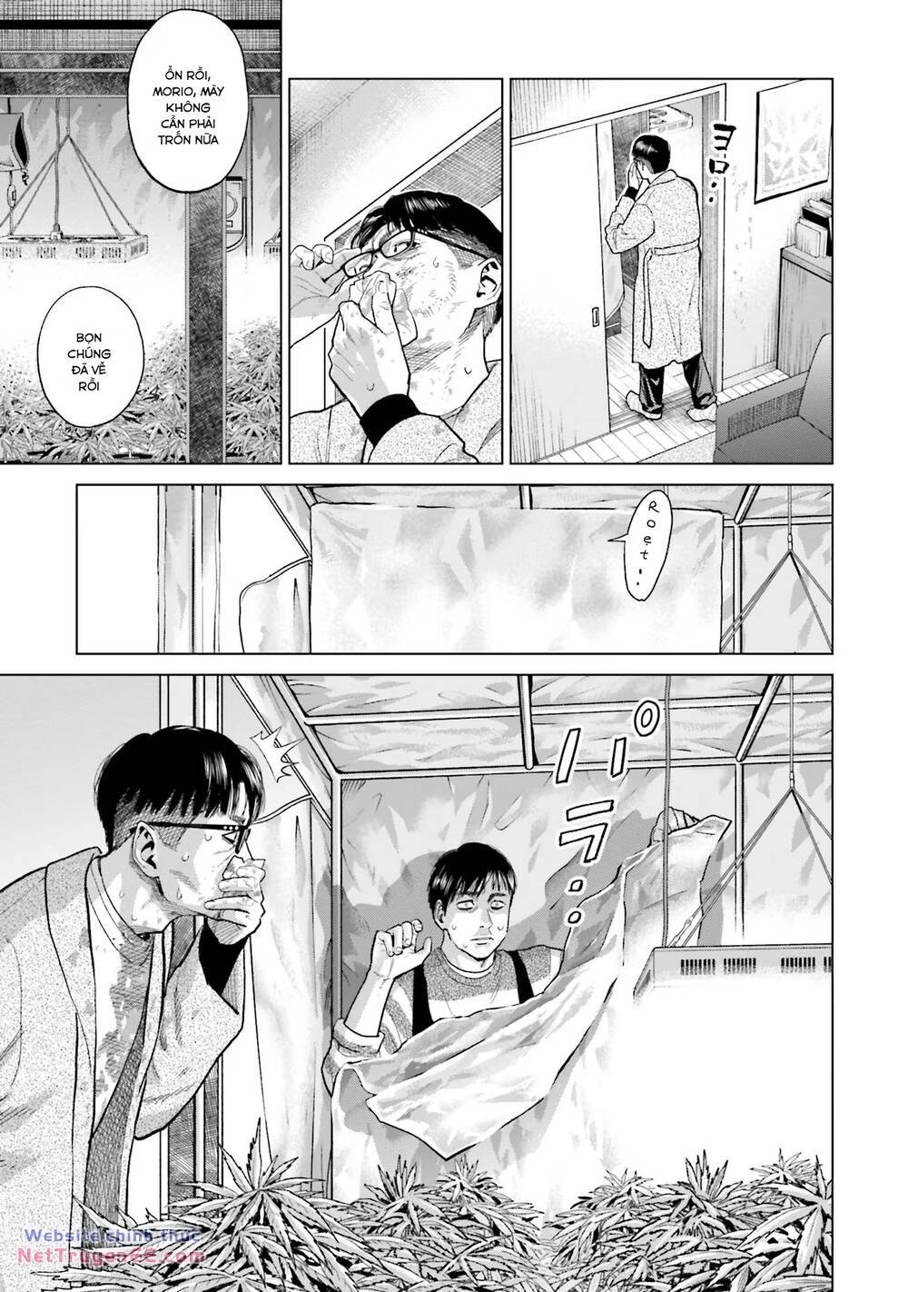 Vua Cần Sa chapter 11 - Trang 12